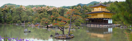 goldener-pavillon-kyoto.jpg